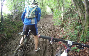 Pascal dans le bocage