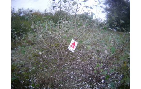 Balisage Kilométrique